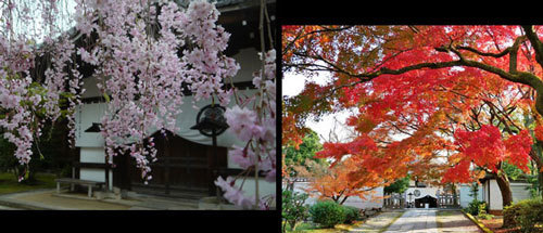 You Tube で見る京都寺社：洛東【 養源院（南叡山） 】＜ 開基：淀殿 ー 浄土真宗 遣迎院派 ＞ 京都迷宮 寺社 YouTubeの旅